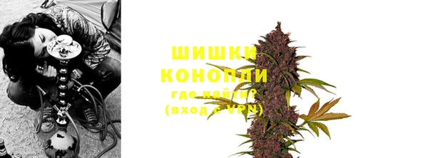 СК Белокуриха