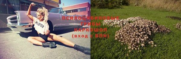 ПСИЛОЦИБИНОВЫЕ ГРИБЫ Белоозёрский