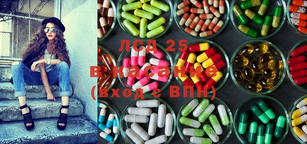 ПСИЛОЦИБИНОВЫЕ ГРИБЫ Белоозёрский
