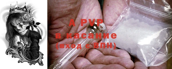 СК Белокуриха