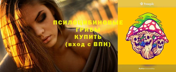 СК Белокуриха