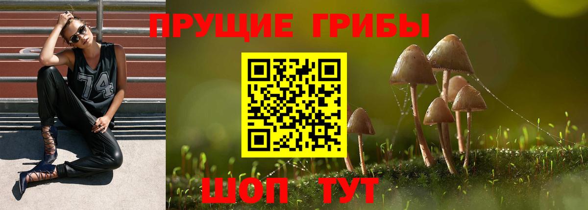 Гулькевичи  Псилоцибиновые грибы Psilocybine cubensis  Вход с VPN 